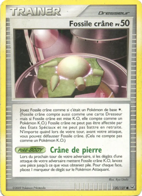 Fossile Crâne – Platine 120