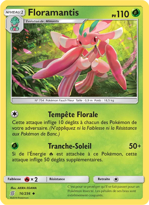 Floramantis – Harmonie des Esprits 16