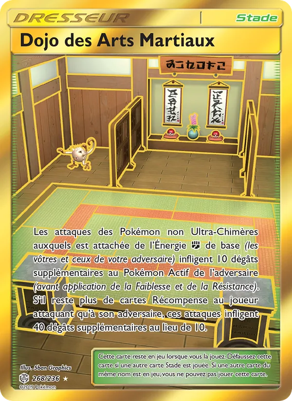 Dojo des Arts Martiaux – Éclipse Cosmique 268