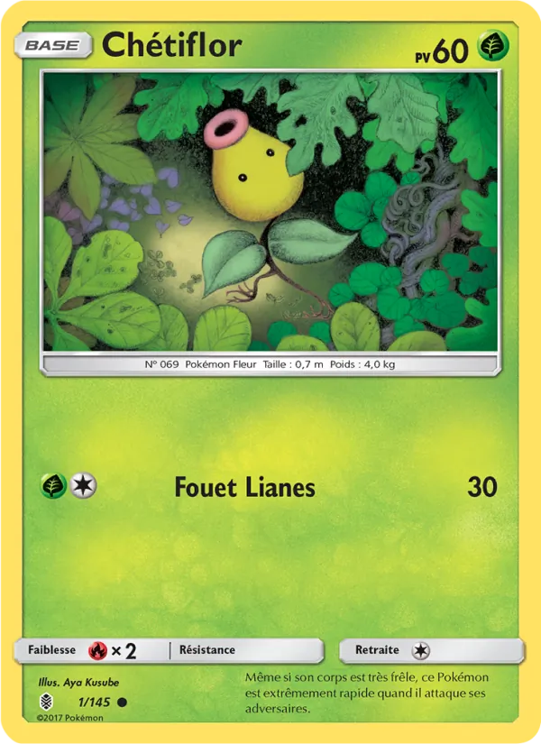 Chétiflor – Gardiens Ascendants 1
