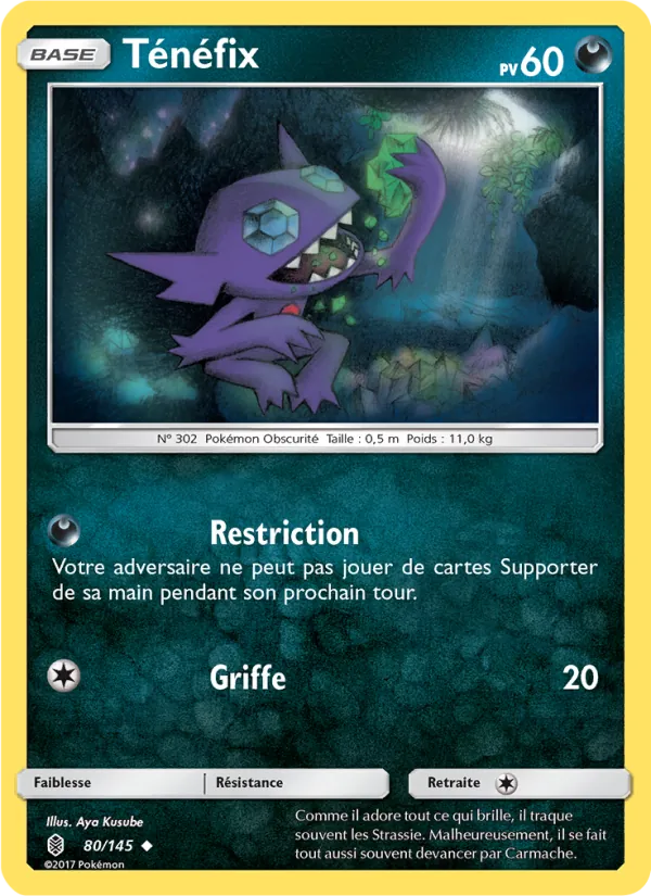 Ténéfix – Gardiens Ascendants 80