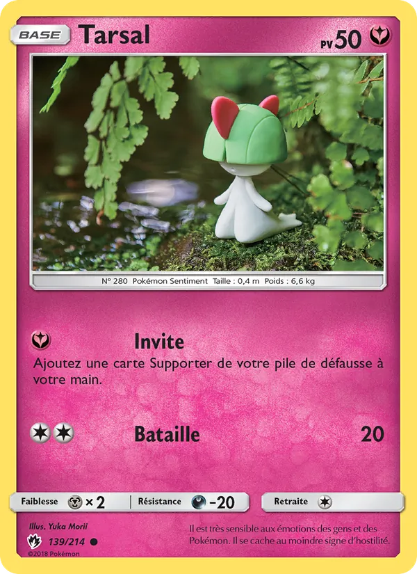 Tarsal – Tonnerre Perdu 139