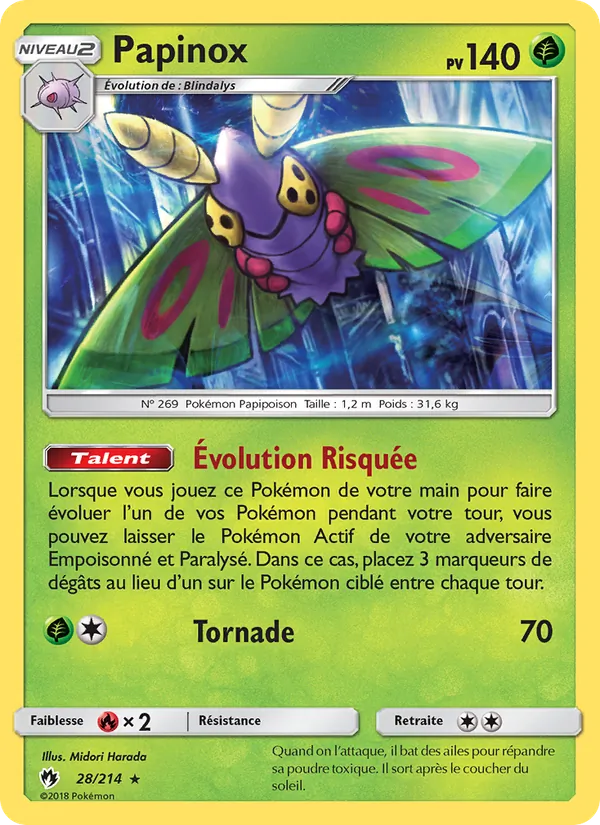 Papinox – Tonnerre Perdu 28