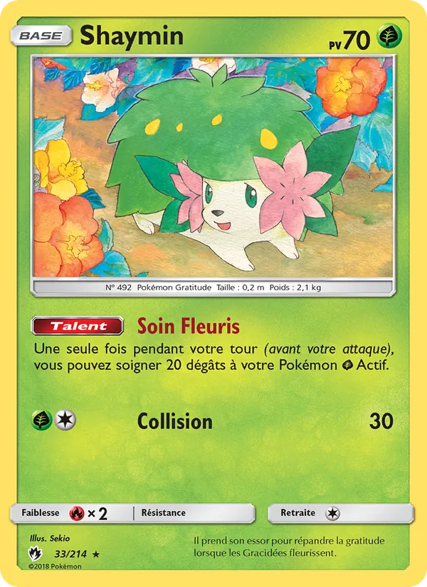Shaymin – Tonnerre Perdu 33