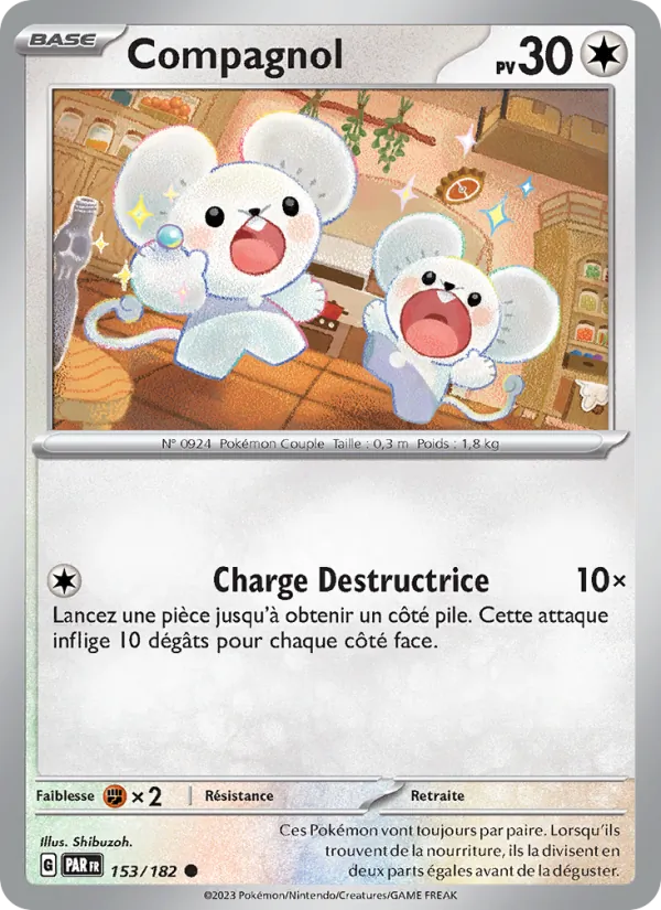 Compagnol – Faille Paradoxe 153