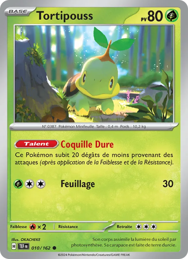 Tortipouss – Forces Temporelles 10