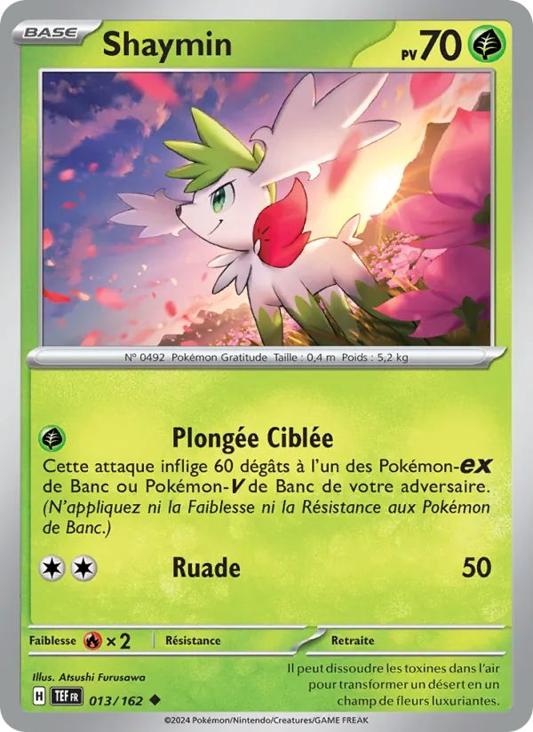 Shaymin – Forces Temporelles 13
