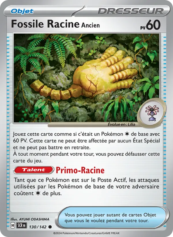 Fossile Racine Ancien – Couronne Stellaire 130