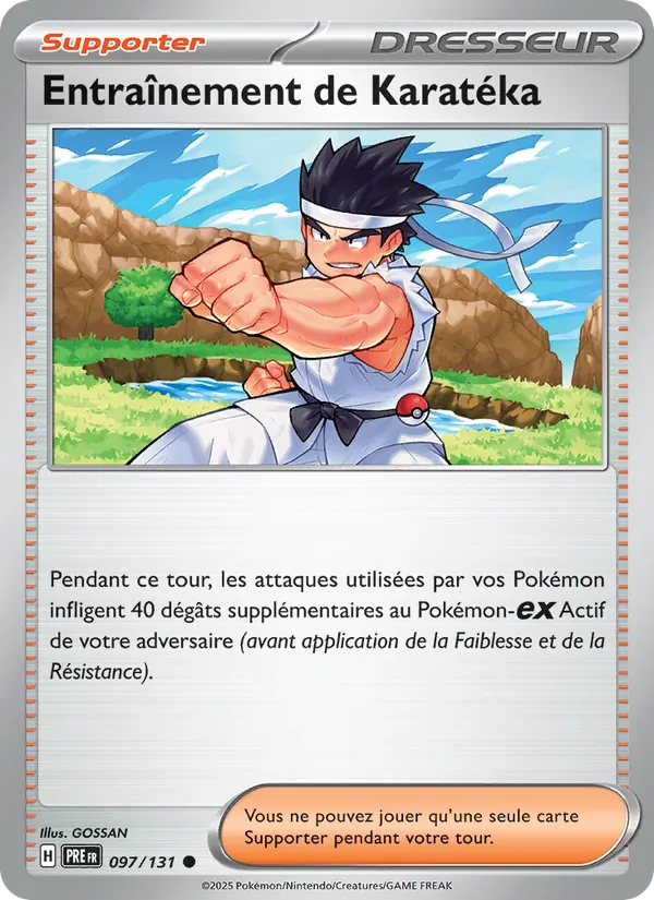 Entraînement de Karatéka – Évolutions Prismatiques 97