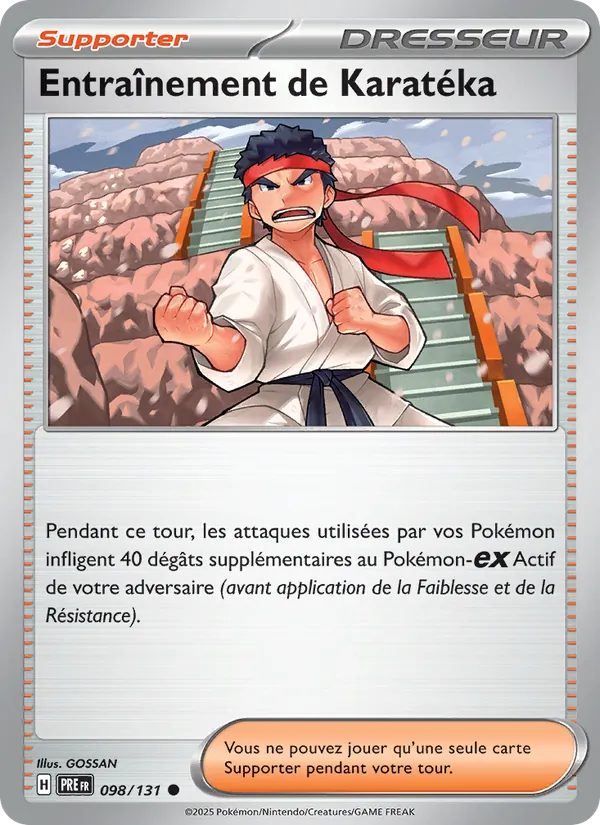 Entraînement de Karatéka – Évolutions Prismatiques 98