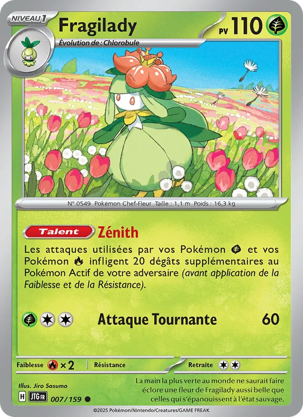 Fragilady – Aventures Ensemble 7