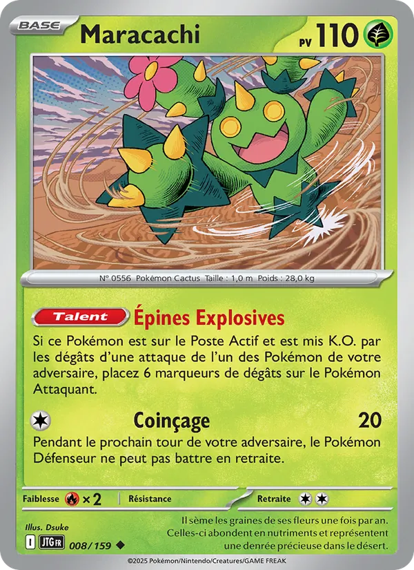 Maracachi – Aventures Ensemble 8