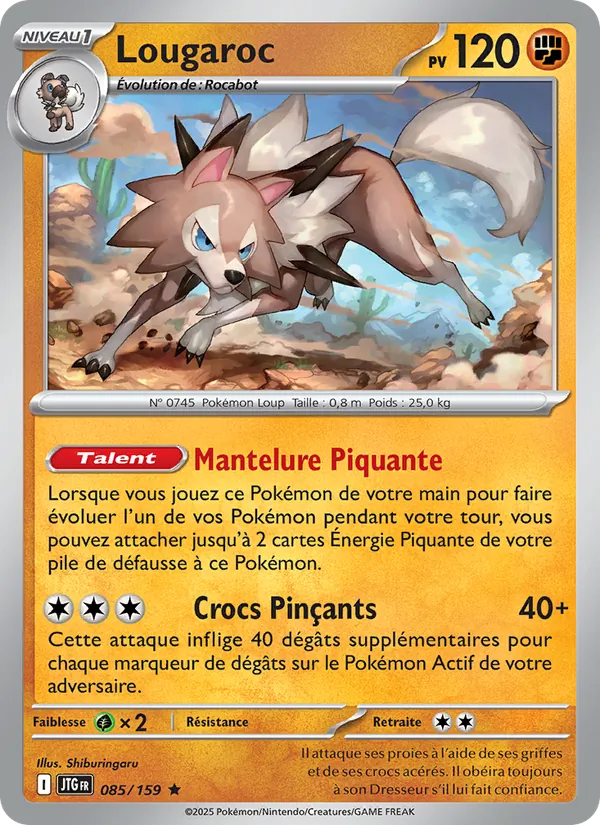 Lougaroc – Aventures Ensemble 85