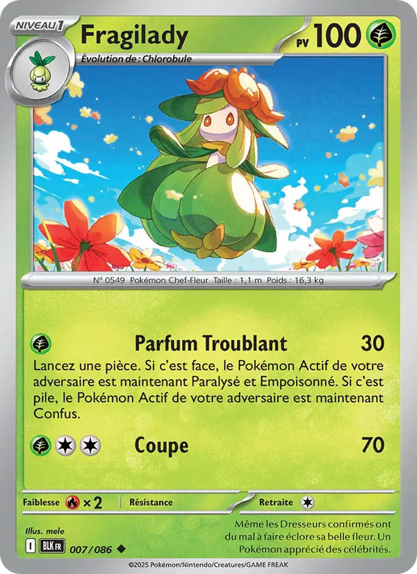 Fragilady – Foudre Noire 7