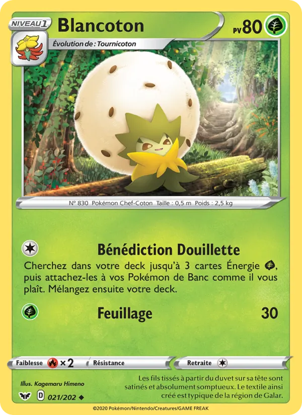 Blancoton – Épée et Bouclier 21
