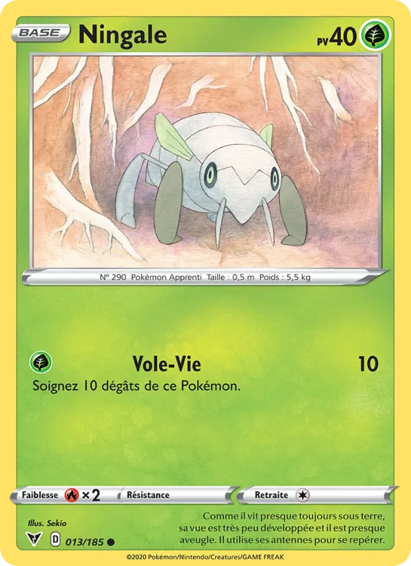 Ningale – Voltage Éclatant 13