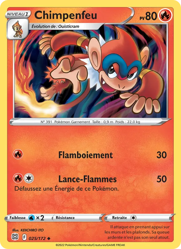 Chimpenfeu – Stars Étincelantes 25
