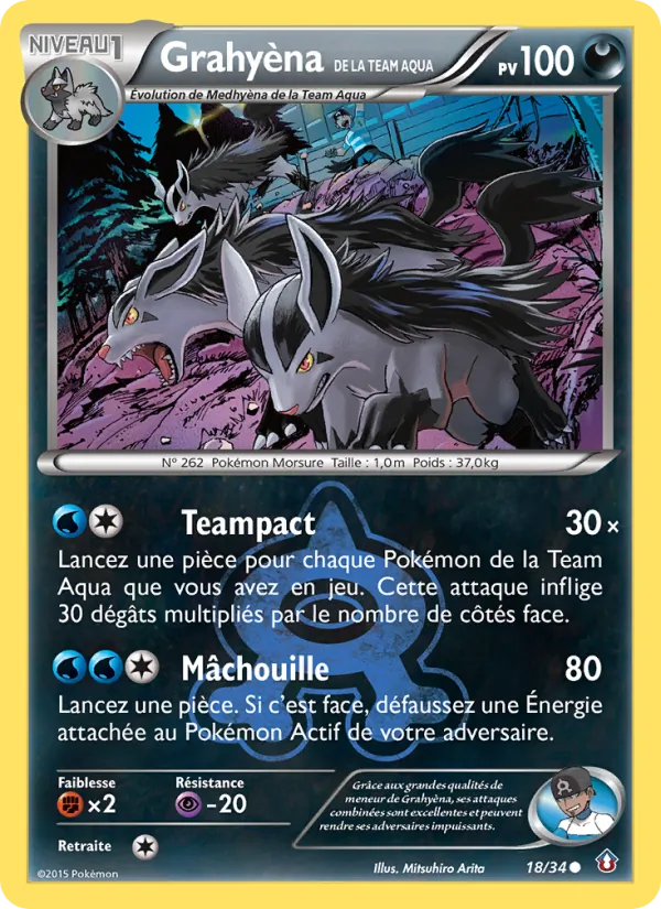 Grahyèna de la Team Aqua – Double Danger 18