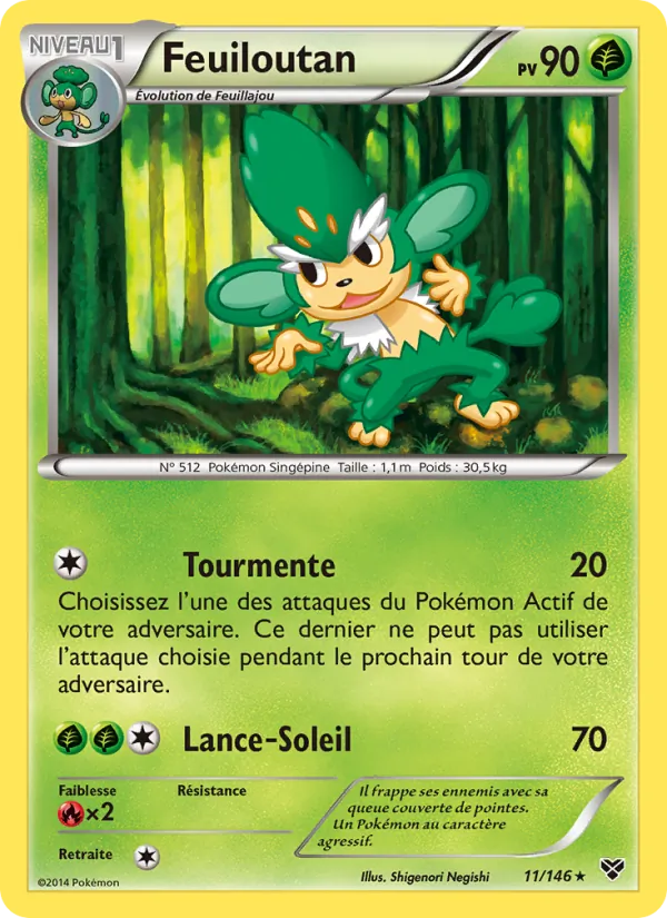 Feuiloutan – XY 11