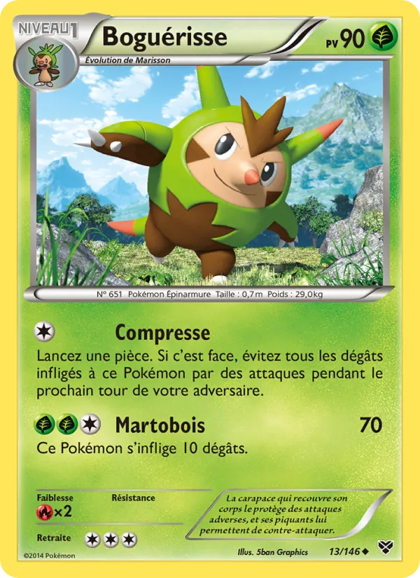 Boguérisse – XY 13