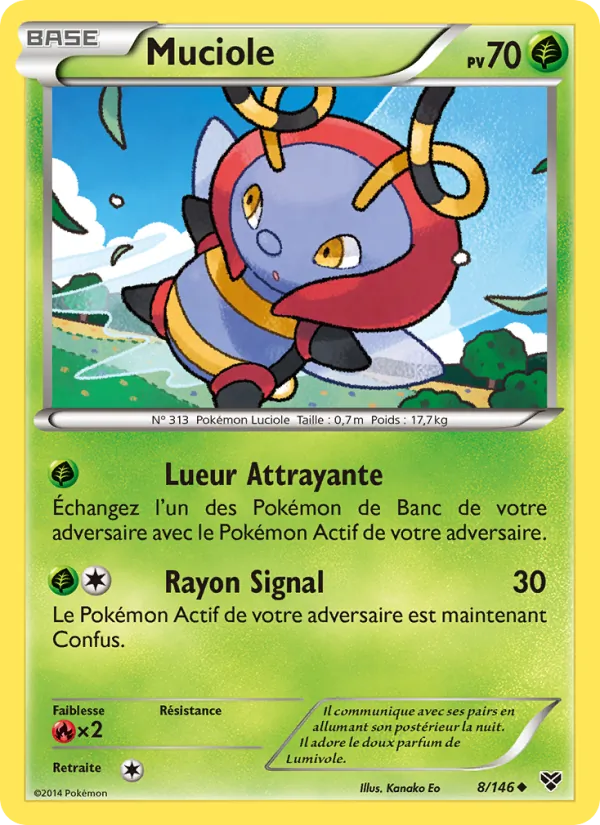Muciole – XY 8