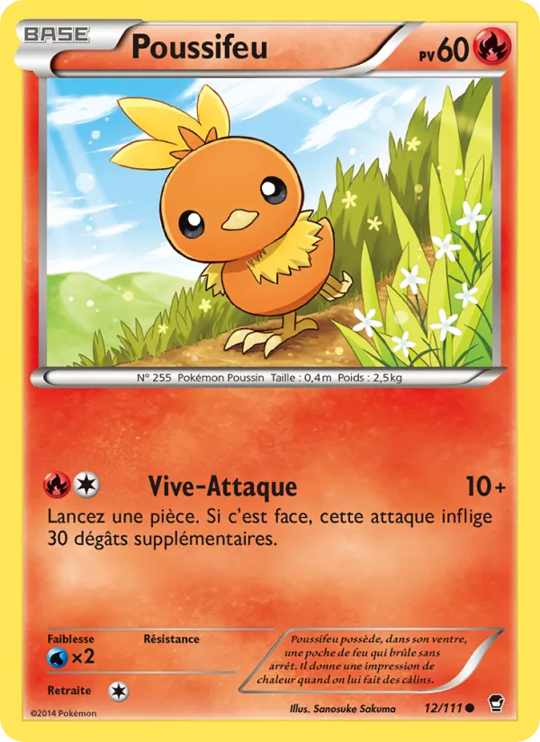 Poussifeu – Poings Furieux 12
