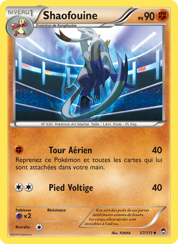 Shaofouine – Poings Furieux 57