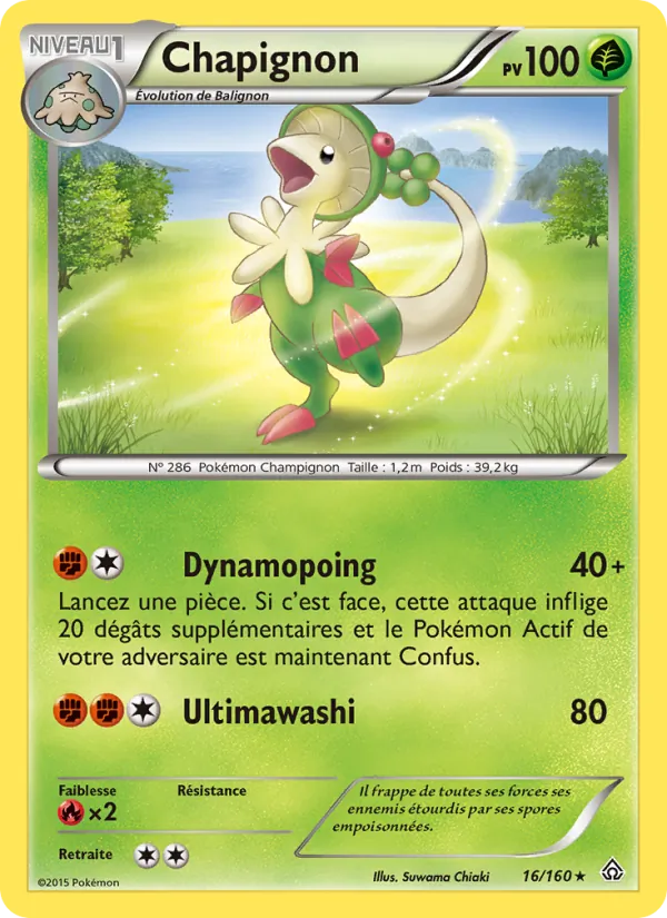 Chapignon – Primo-Choc 16