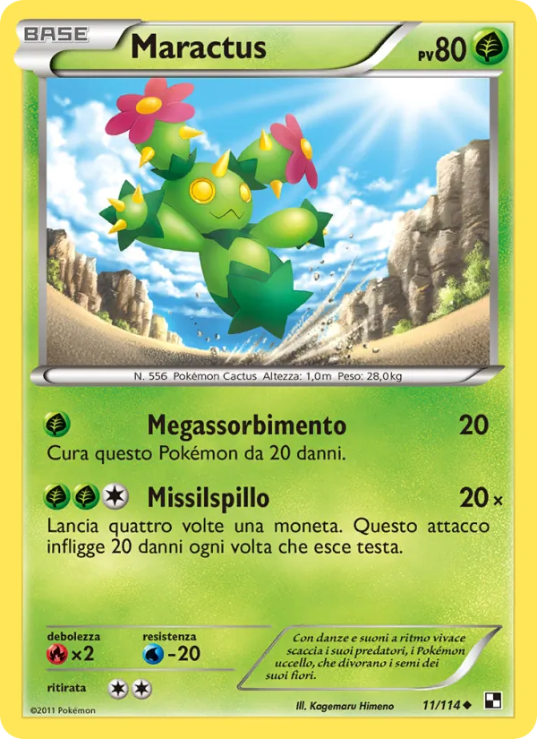 Maractus – Nero e Bianco 11