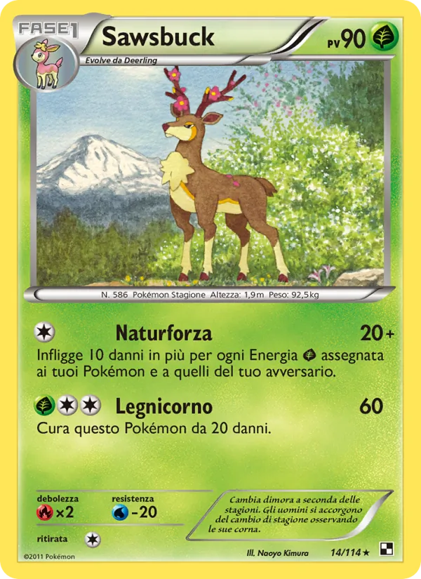 Sawsbuck – Nero e Bianco 14