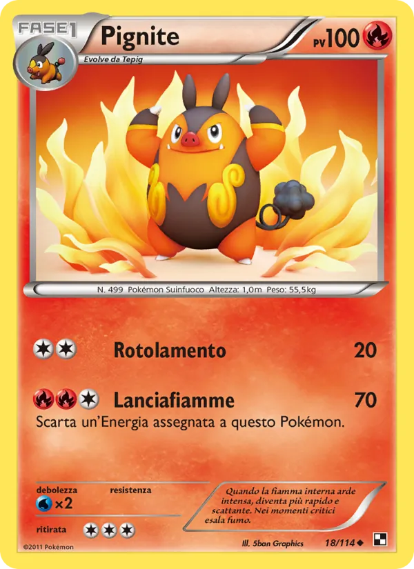 Pignite – Nero e Bianco 18