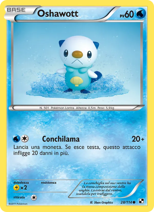 Oshawott – Nero e Bianco 28