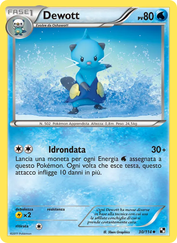 Dewott – Nero e Bianco 30