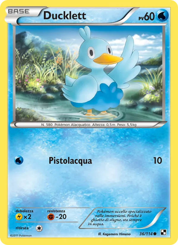 Ducklett – Nero e Bianco 36