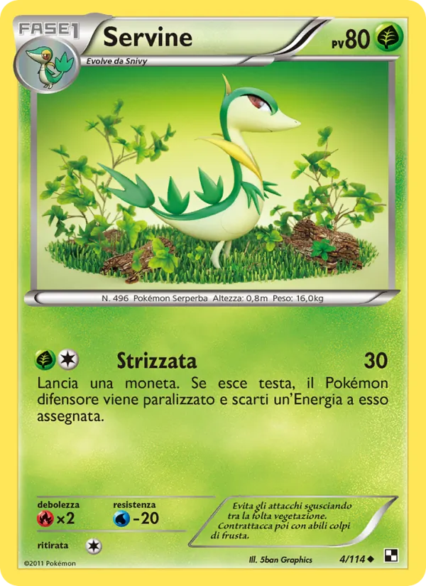 Servine – Nero e Bianco 4