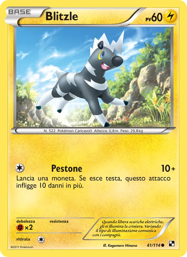 Blitzle – Nero e Bianco 41