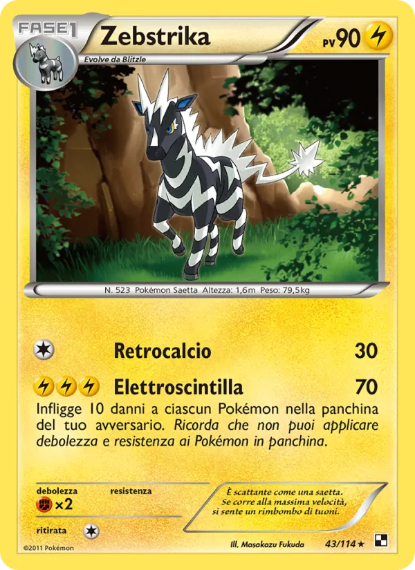 Zebstrika – Nero e Bianco 43