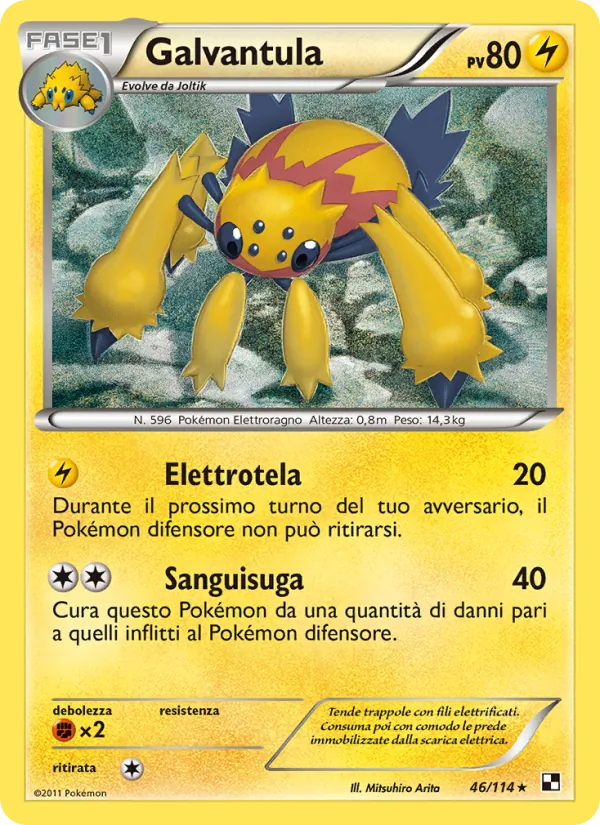 Galvantula – Nero e Bianco 46