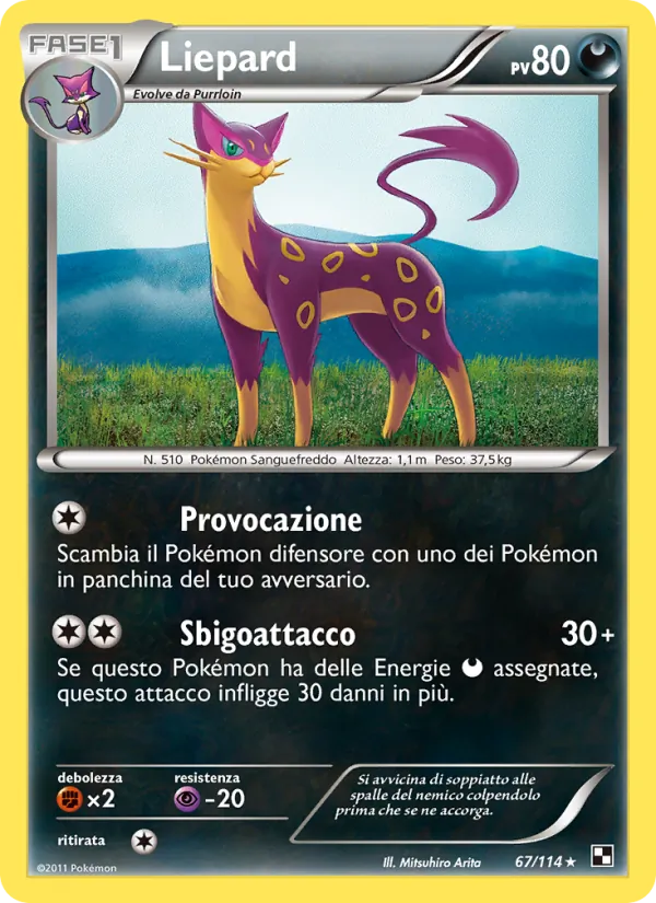 Liepard – Nero e Bianco 67