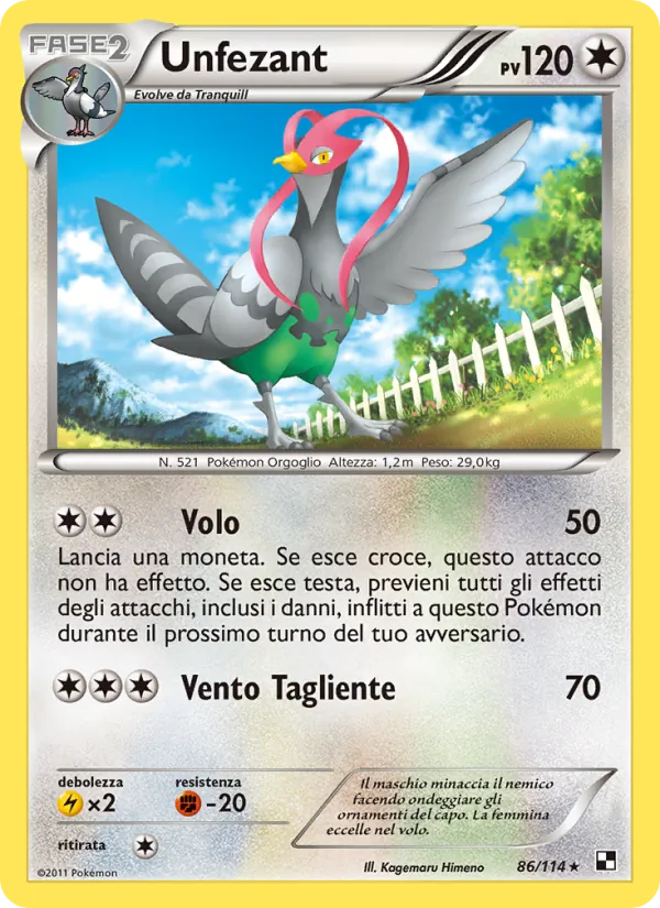 Unfezant – Nero e Bianco 86