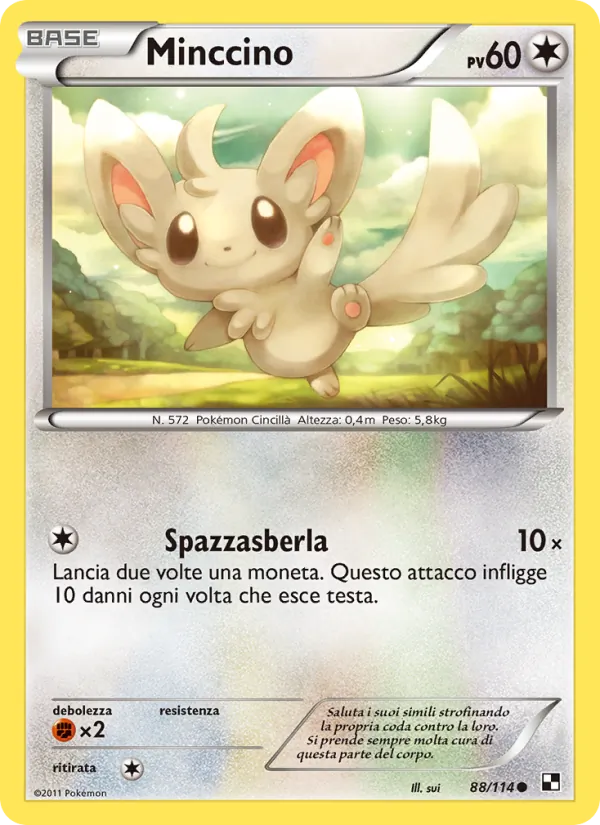 Minccino – Nero e Bianco 88