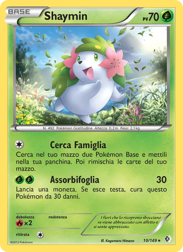 Shaymin – Confini Varcati 10