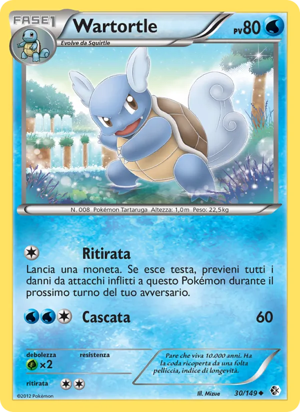 Wartortle – Confini Varcati 30