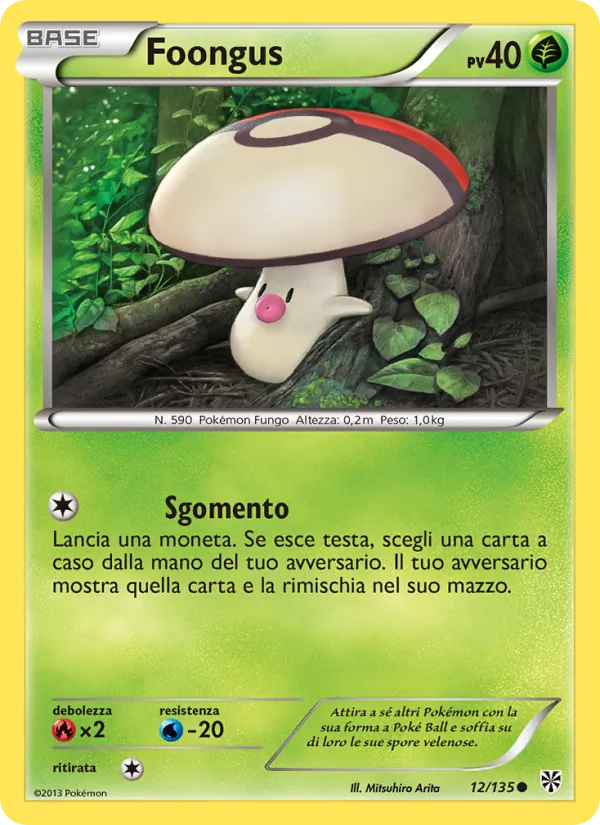 Foongus – Uragano Plasma 12