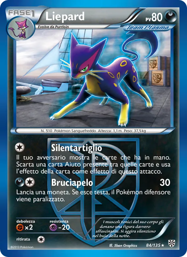 Liepard – Uragano Plasma 84