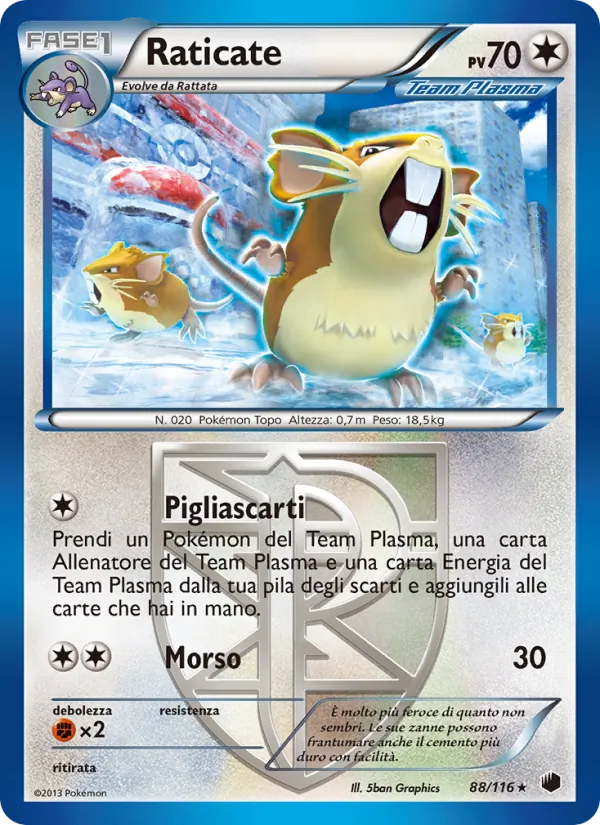 Raticate – Glaciazione Plasma 88