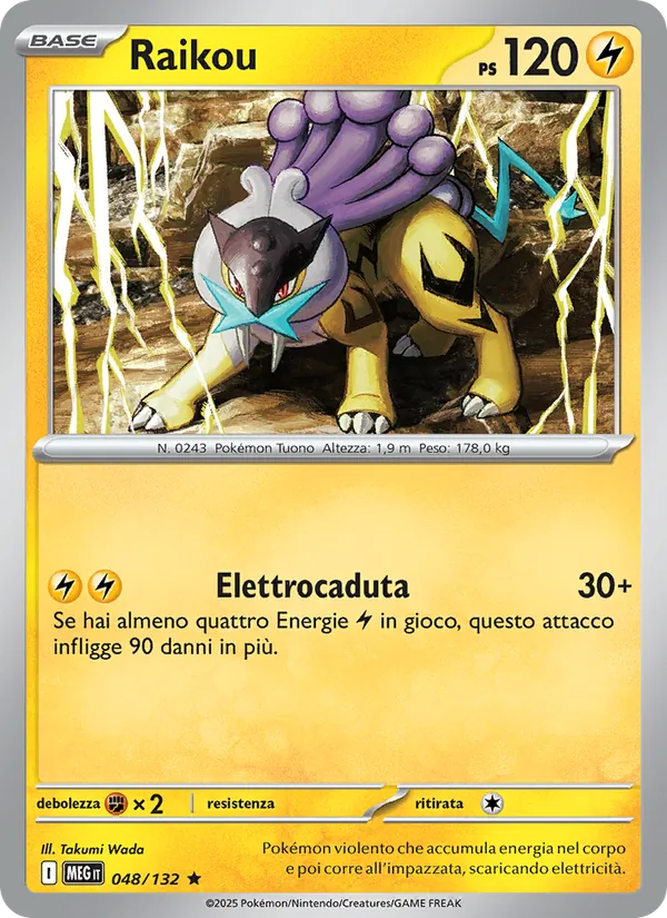 Raikou – Megaevoluzione 48