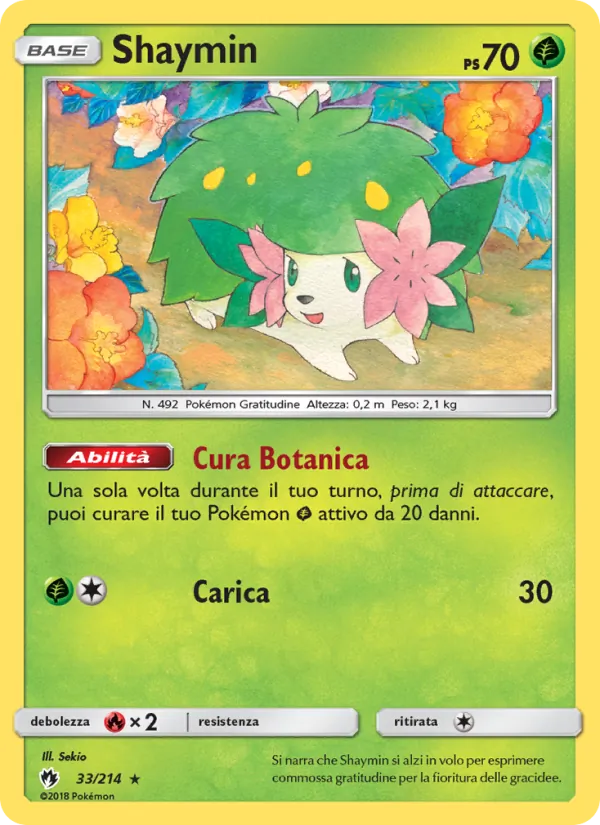 Shaymin – Tuoni Perduti 33