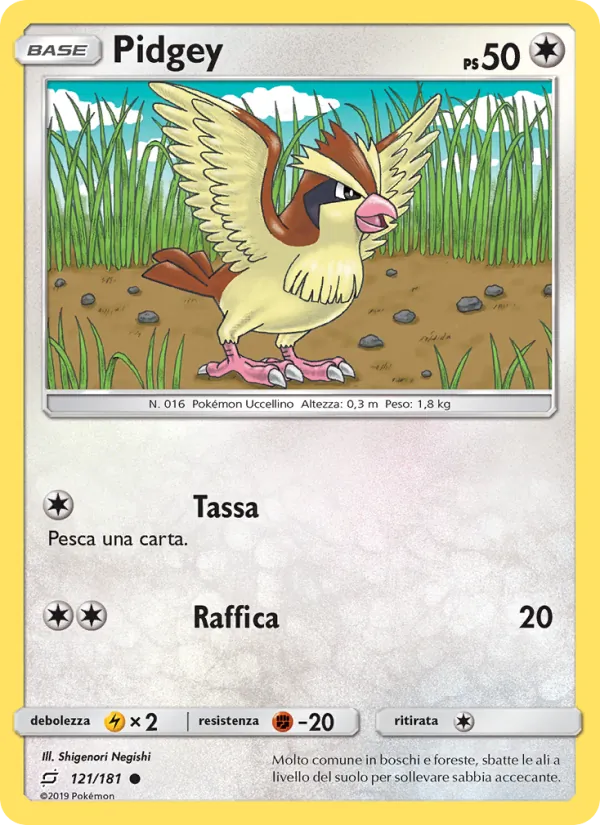 Pidgey – Gioco di Squadra 121