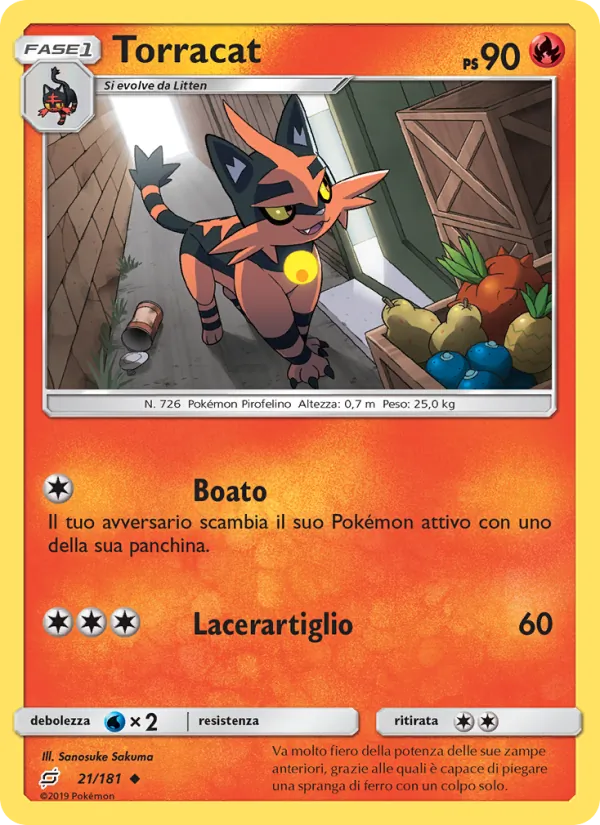 Torracat – Gioco di Squadra 21